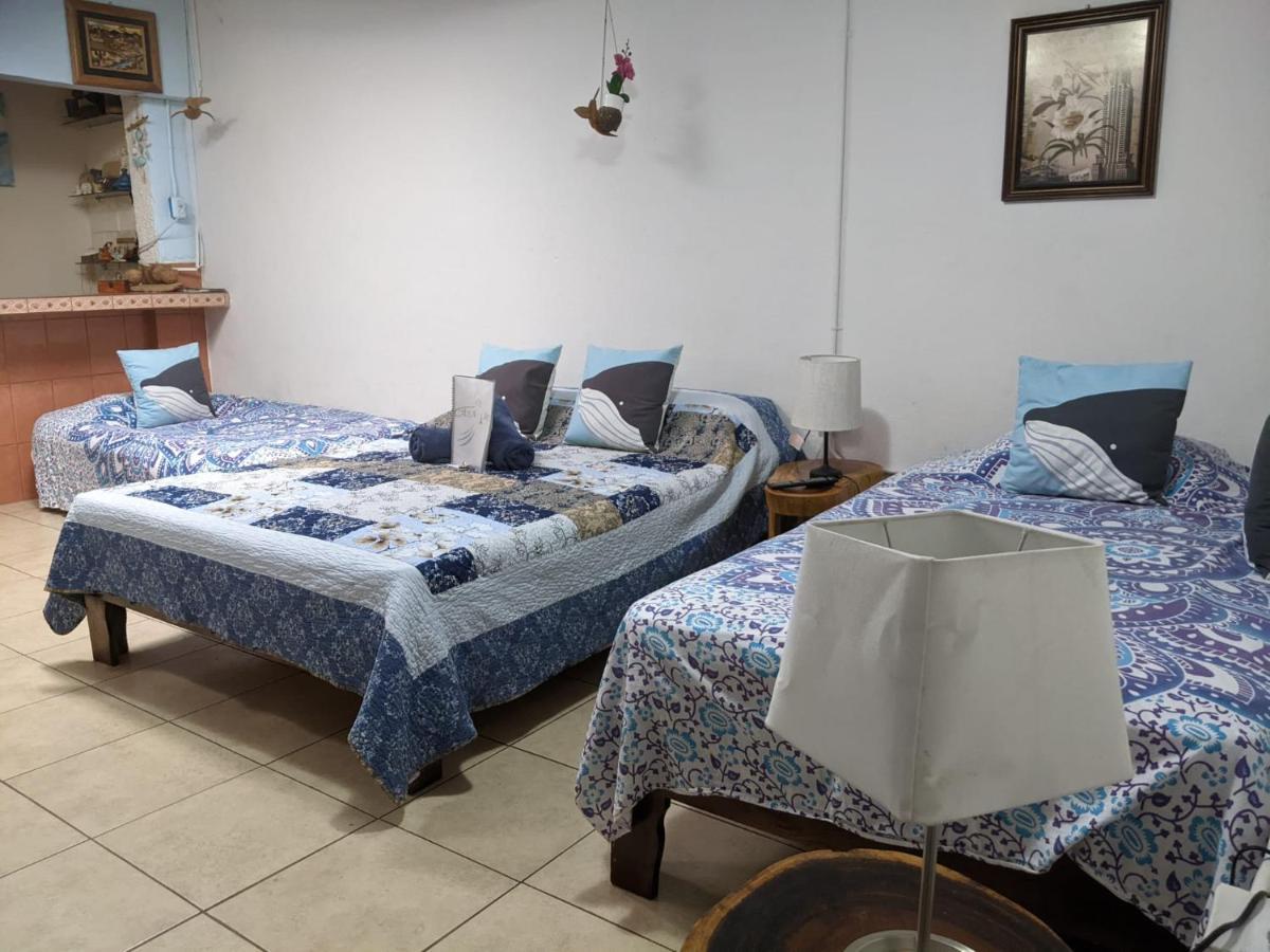 Guesthouse Casa Lapa2 Alajuela Bagian luar foto